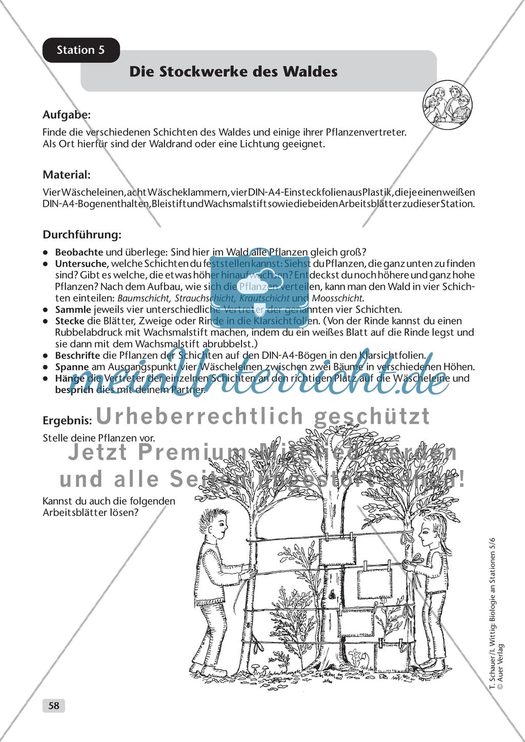 Ökosystem Wald - Teil 2 Preview 1
