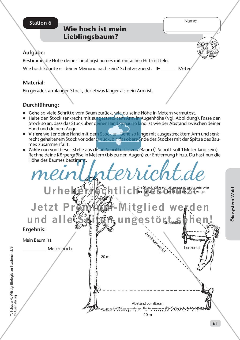 Ökosystem Wald - Teil 2 Preview 4