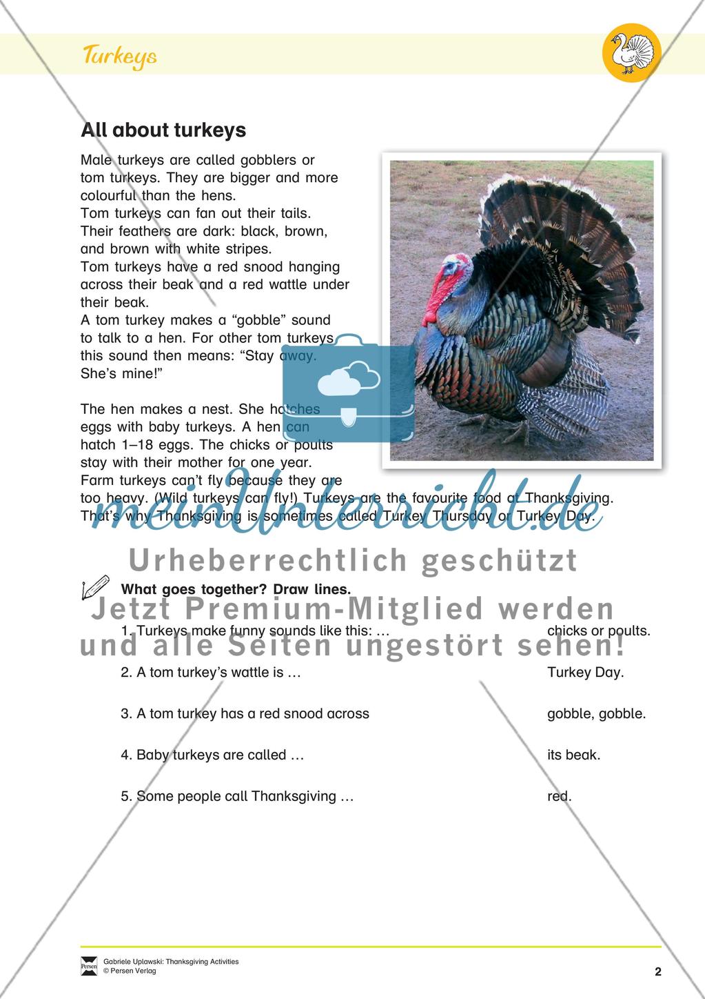 Thanksgiving Activities Preview 3
