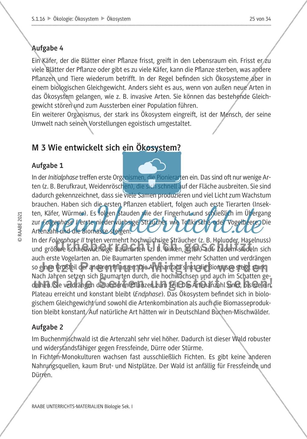 Lösungen Preview 2