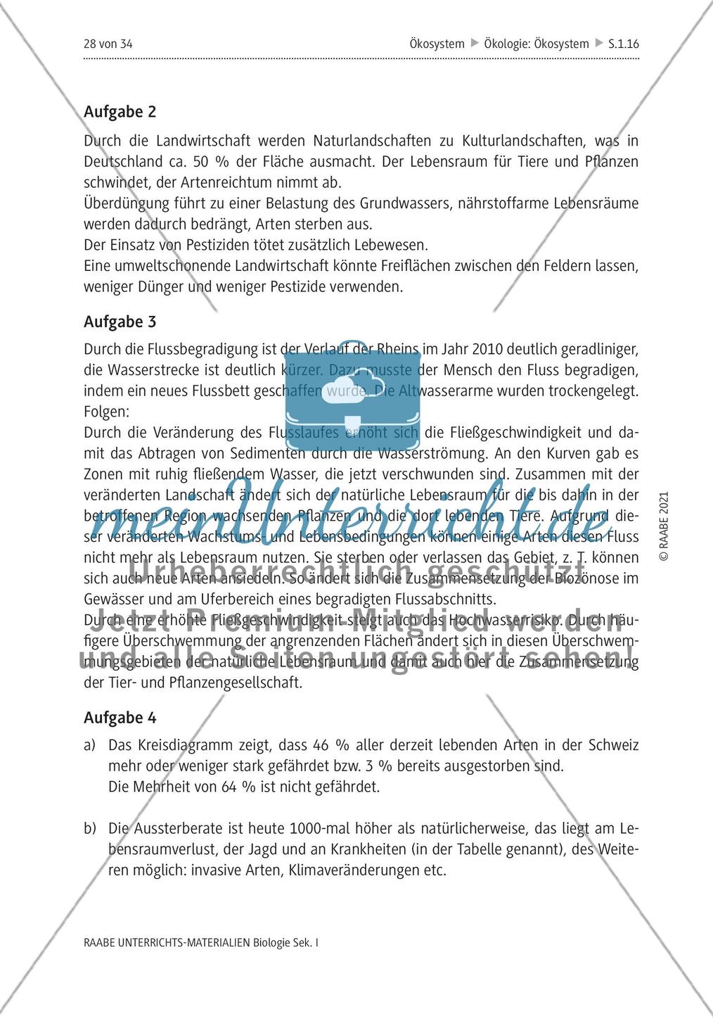 Lösungen Preview 5