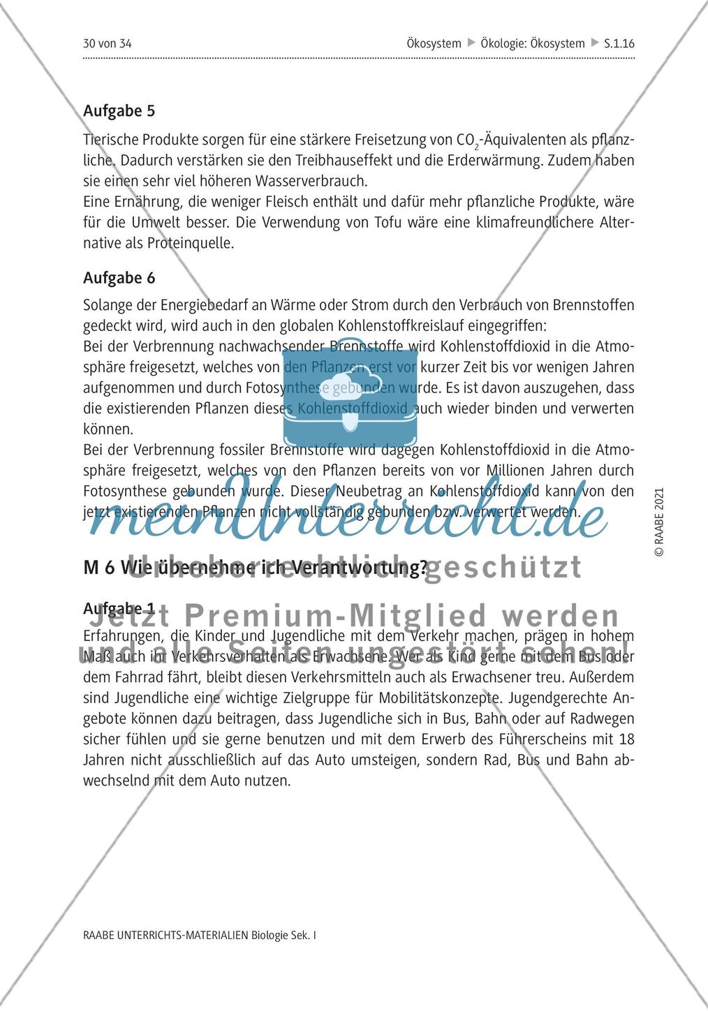 Lösungen Preview 7