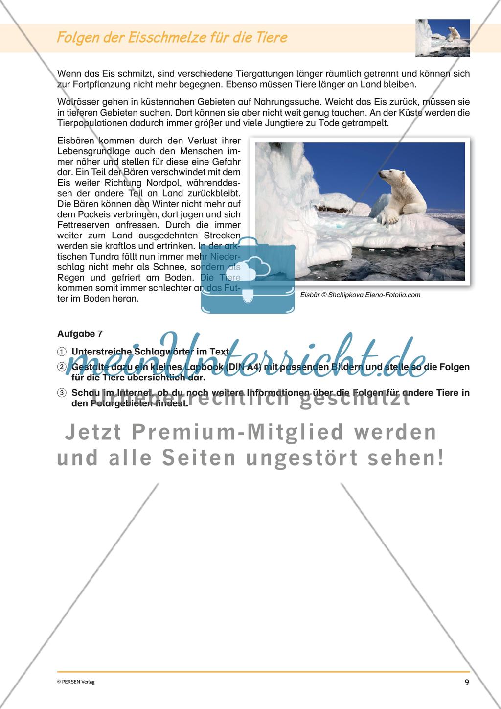 Klimawandel: Eisschmelze Preview 11