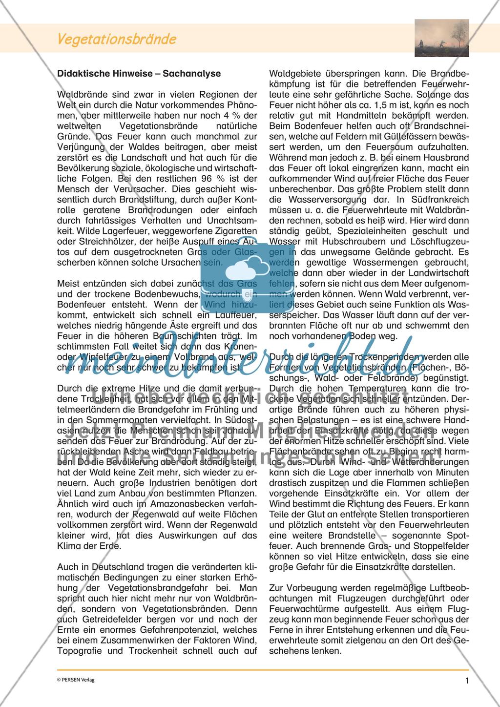 Klimawandel: Vegatationsbrände Preview 3