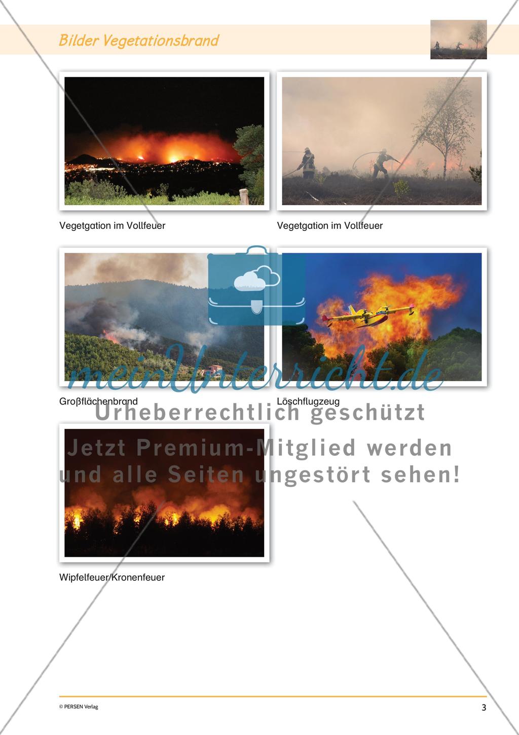 Klimawandel: Vegatationsbrände Preview 5