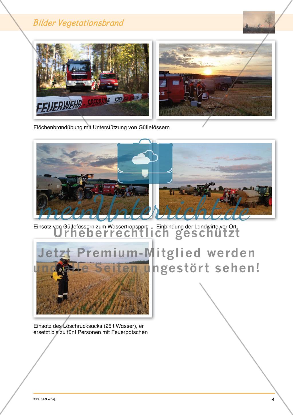 Klimawandel: Vegatationsbrände Preview 6
