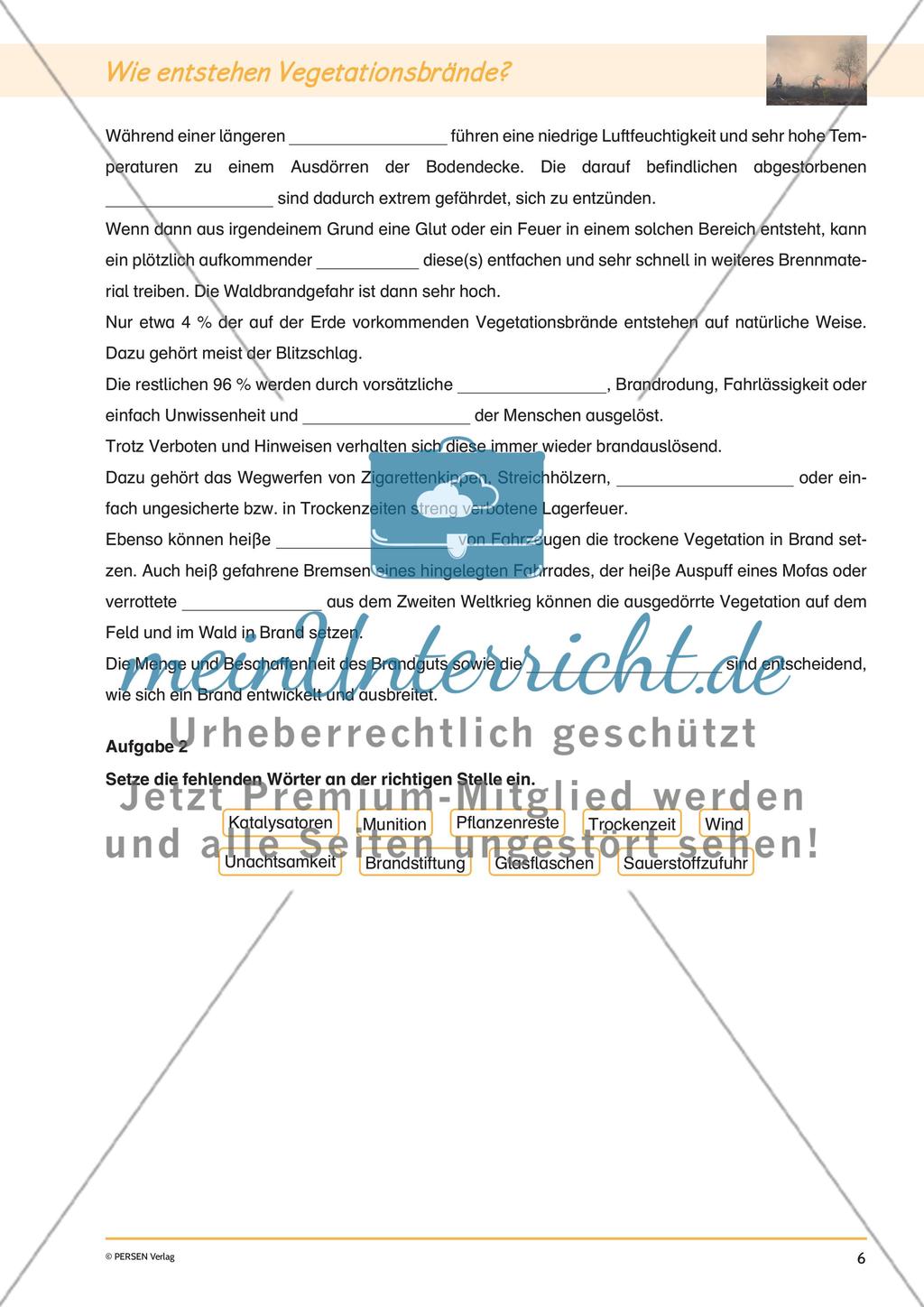 Klimawandel: Vegatationsbrände Preview 8