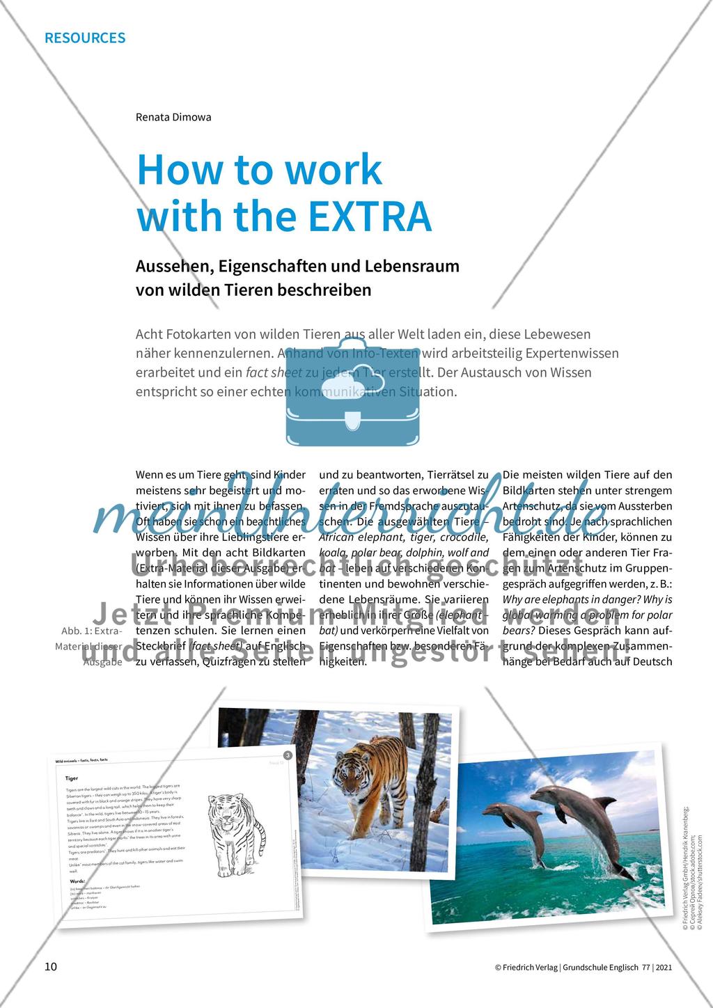 How to work with the EXTRA Preview 1