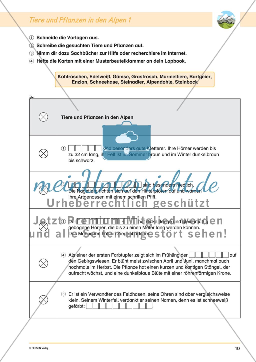 Lapbook: Die Alpen Preview 12