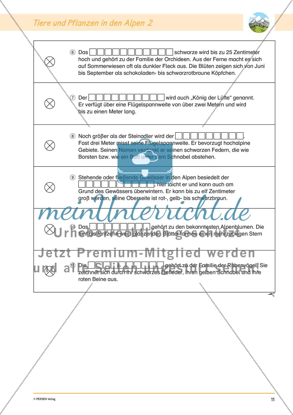 Lapbook: Die Alpen Preview 13
