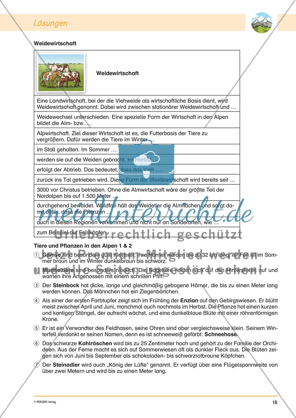 Lapbook: Die Alpen Preview 20