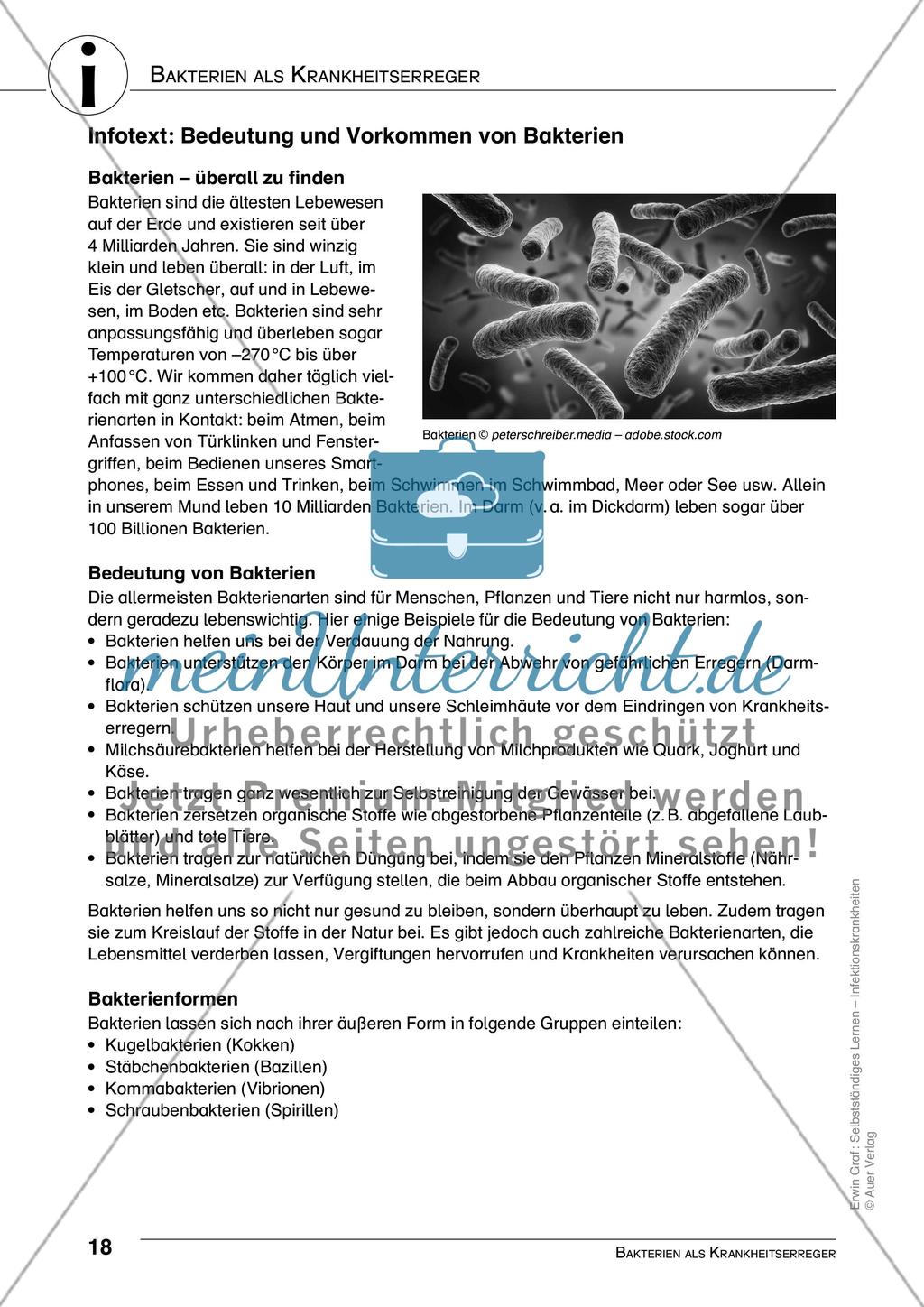 Bakterien als Krankheitserreger Preview 1