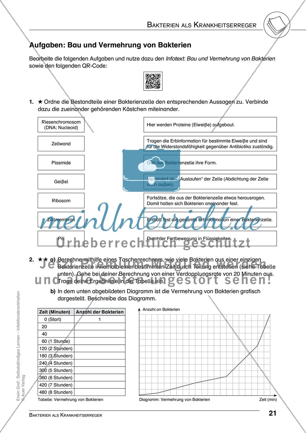 Bakterien als Krankheitserreger Preview 4
