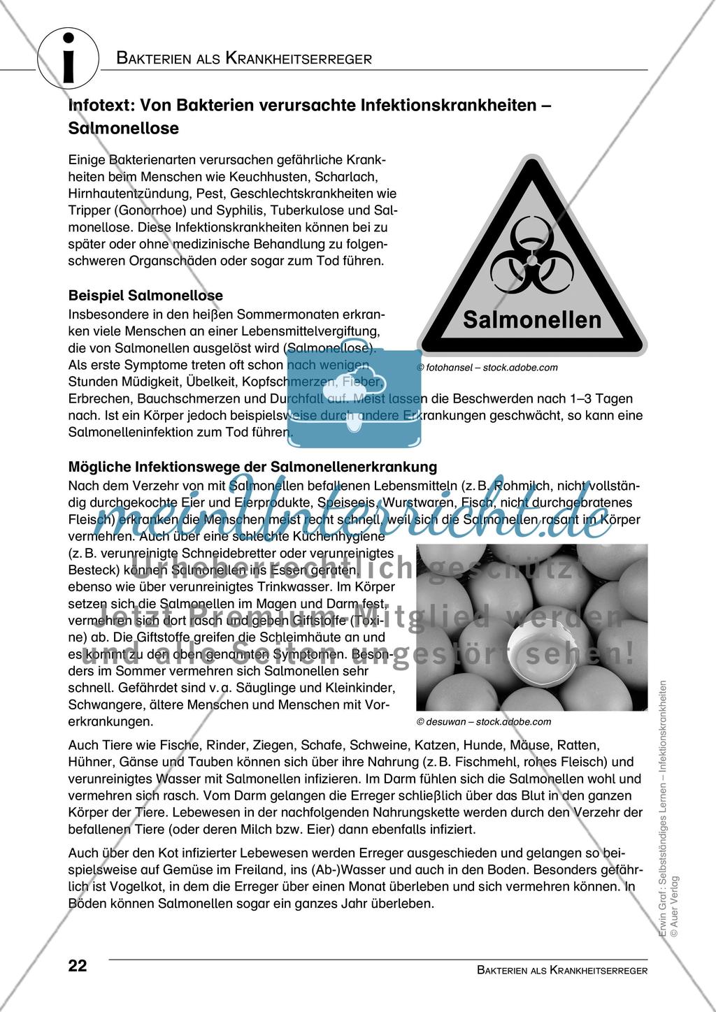 Bakterien als Krankheitserreger Preview 5