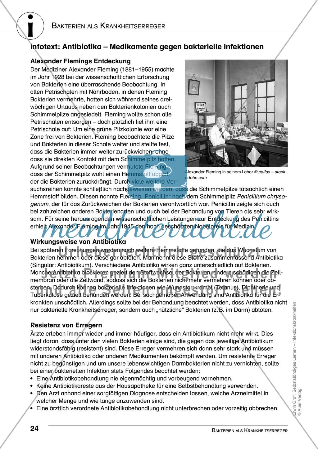 Bakterien als Krankheitserreger Preview 7