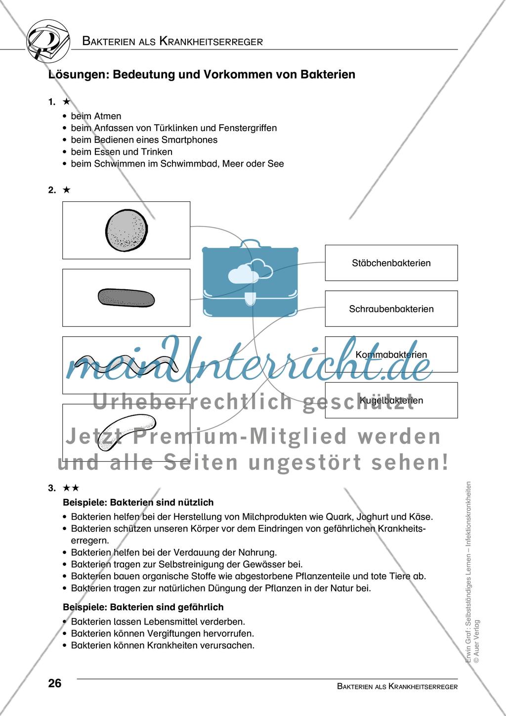 Bakterien als Krankheitserreger Preview 9