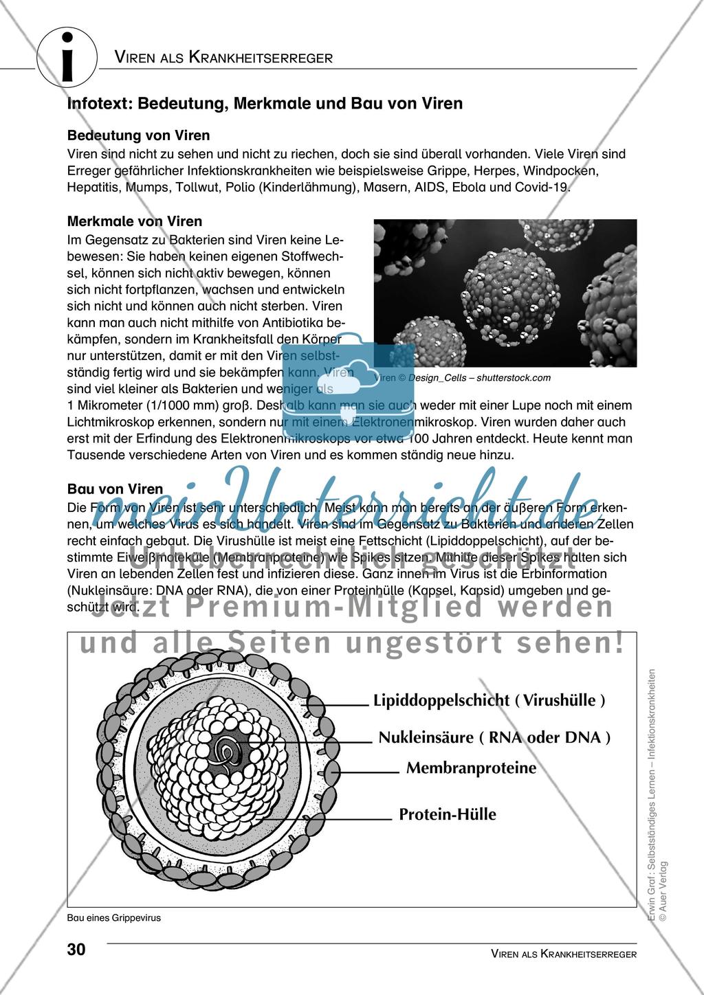 Viren als Krankheitserreger Preview 1