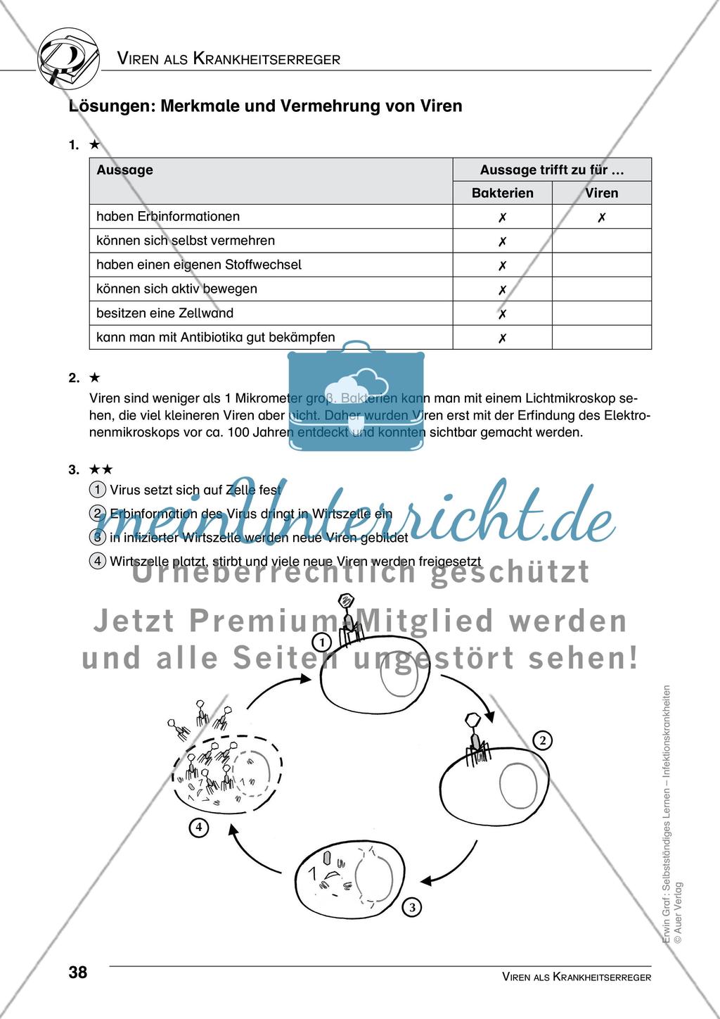 Viren als Krankheitserreger Preview 9