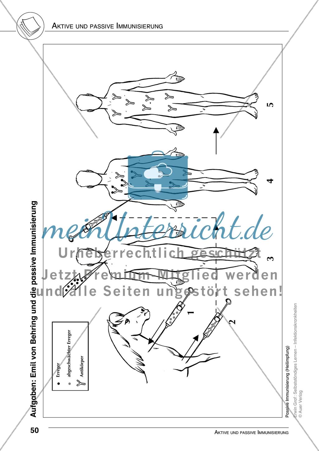 Aktive und passive Immunisierung Preview 6