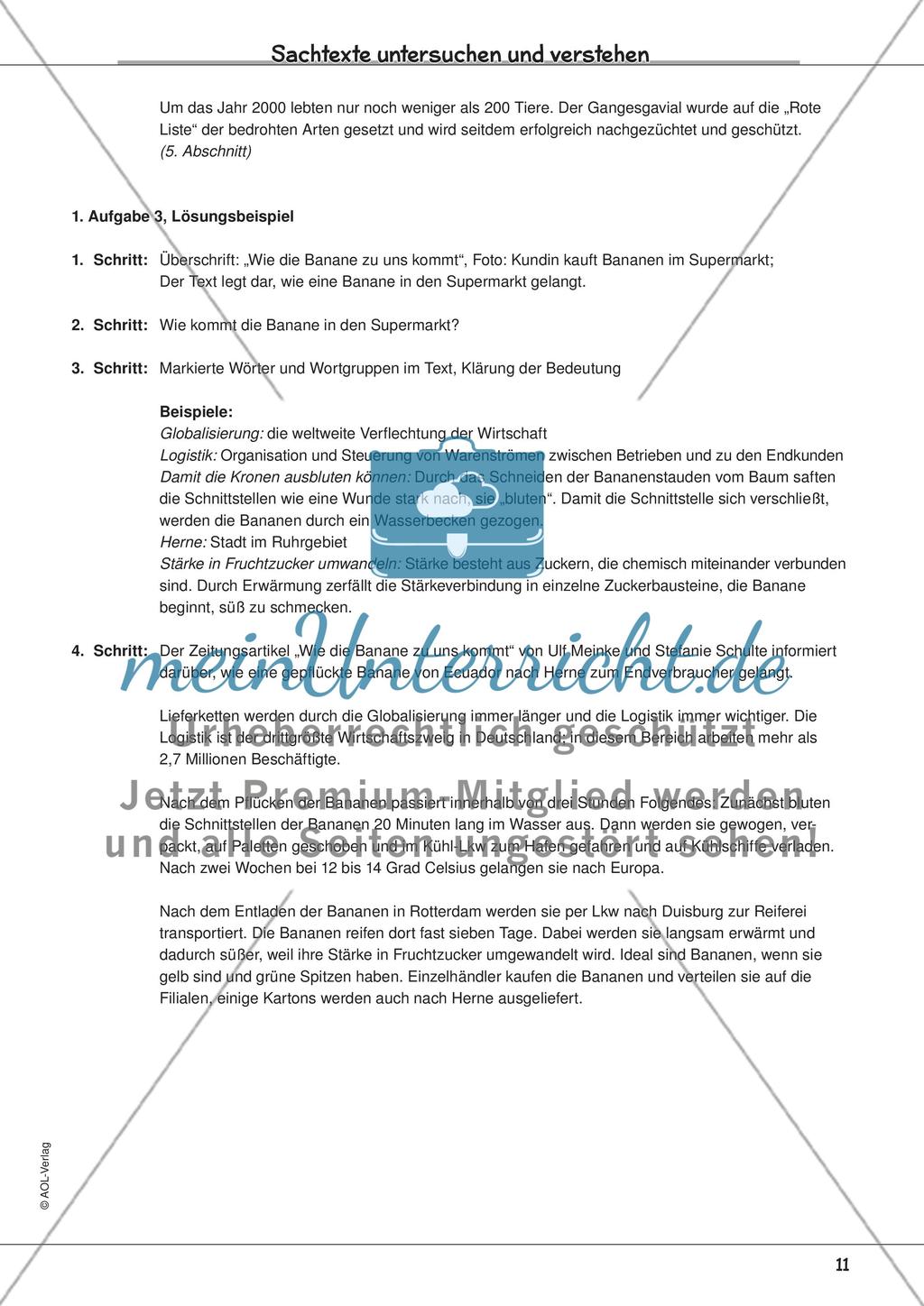 Sachtexte untersuchen und verstehen Preview 13