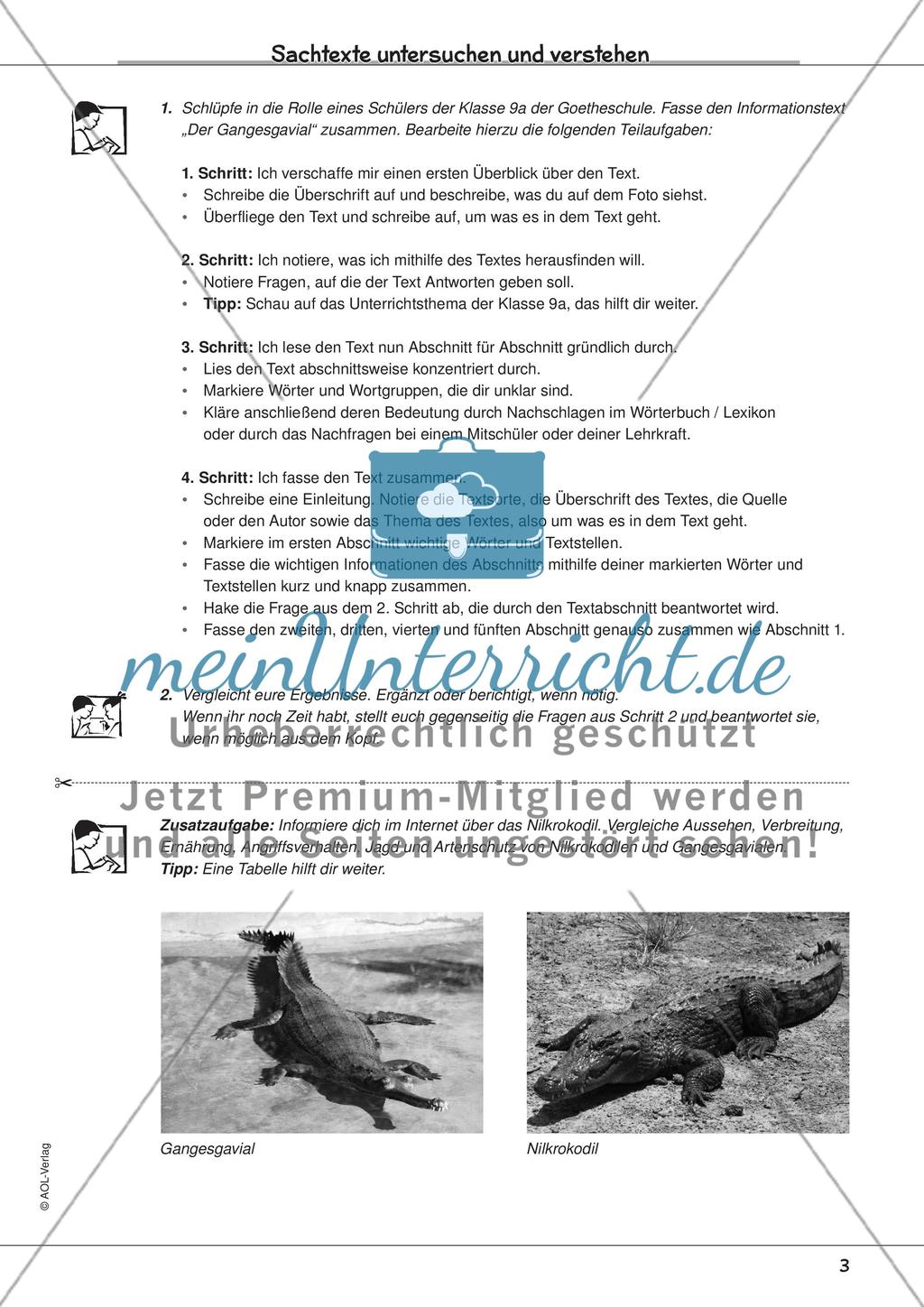 Sachtexte untersuchen und verstehen Preview 5
