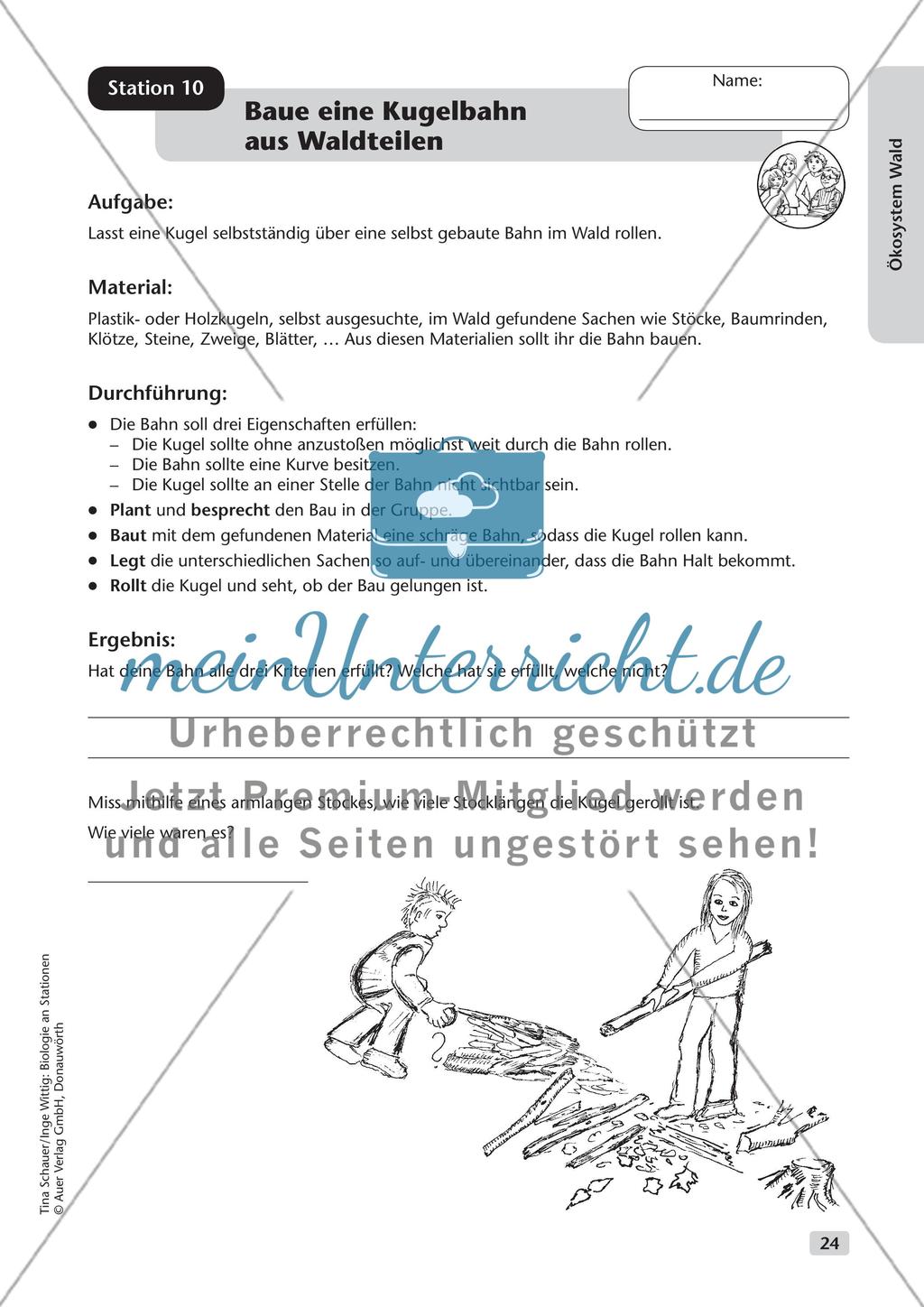 Ökosystem Wald (Stationslauf im Wald) Preview 25