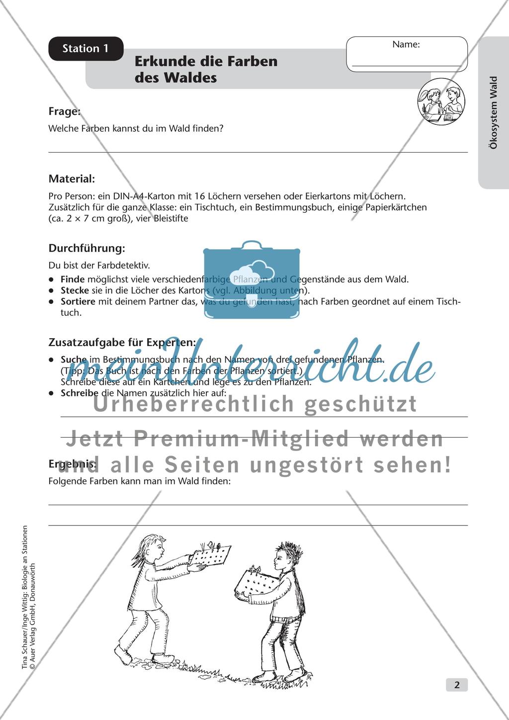 Ökosystem Wald (Stationslauf im Wald) Preview 3
