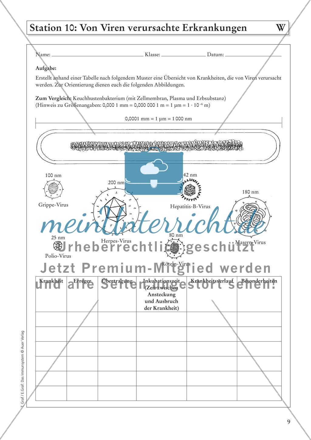Das Immunsystem Preview 11