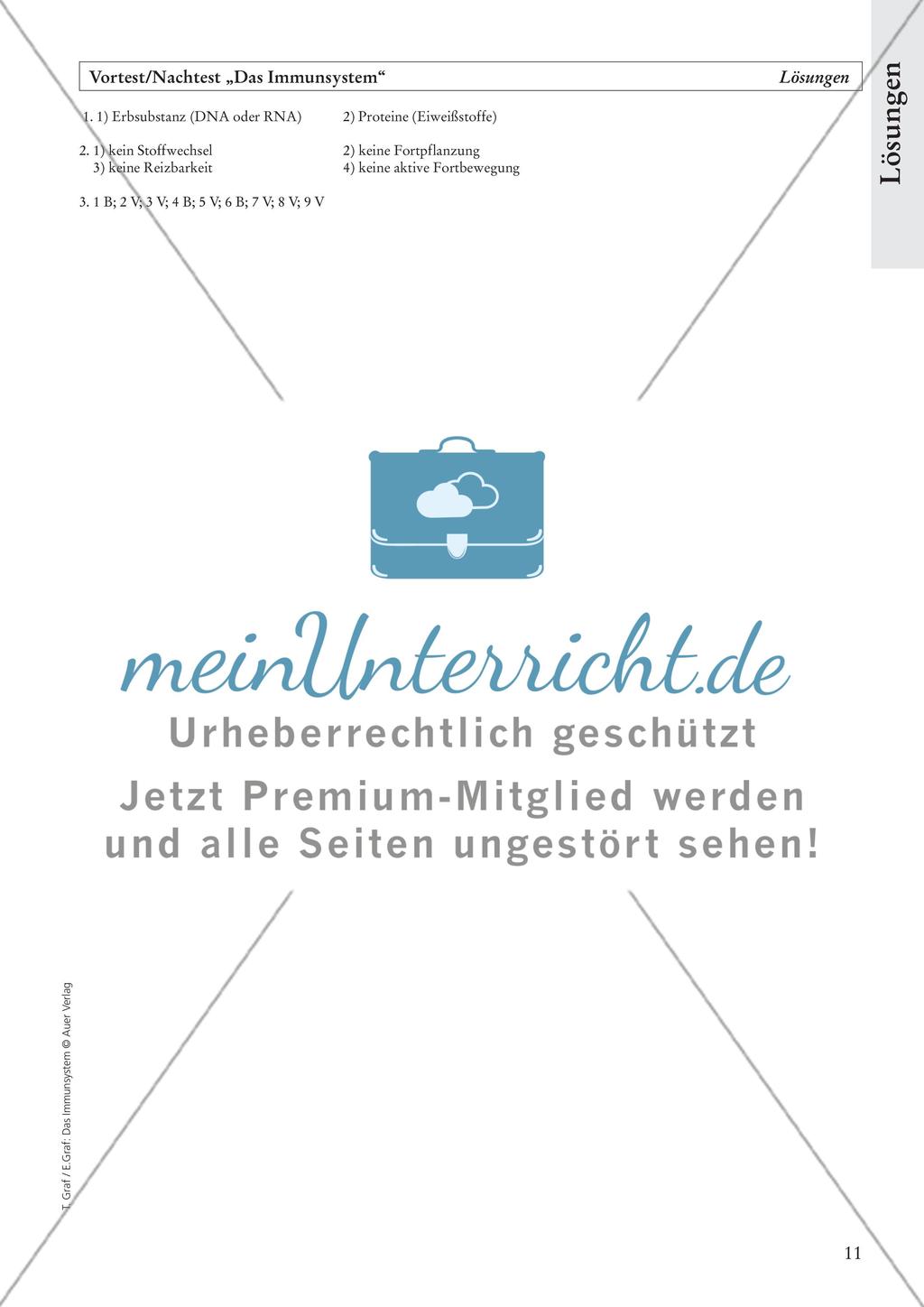 Das Immunsystem Preview 13