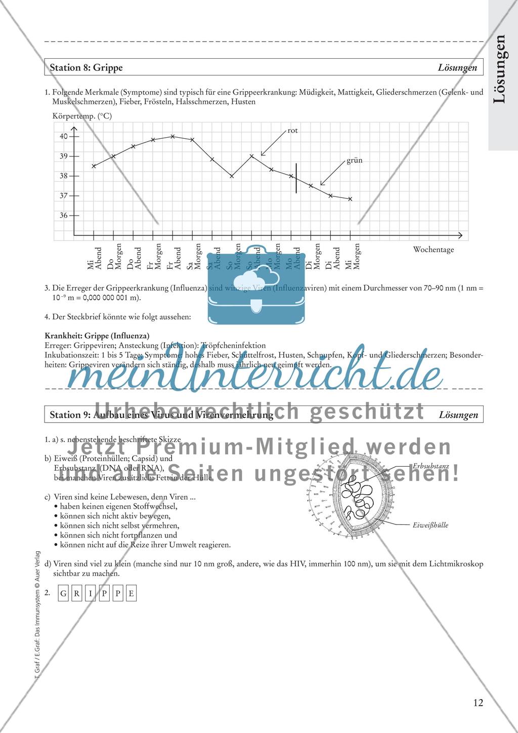 Das Immunsystem Preview 14