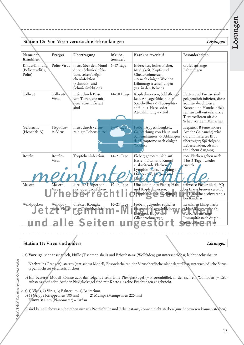 Das Immunsystem Preview 15