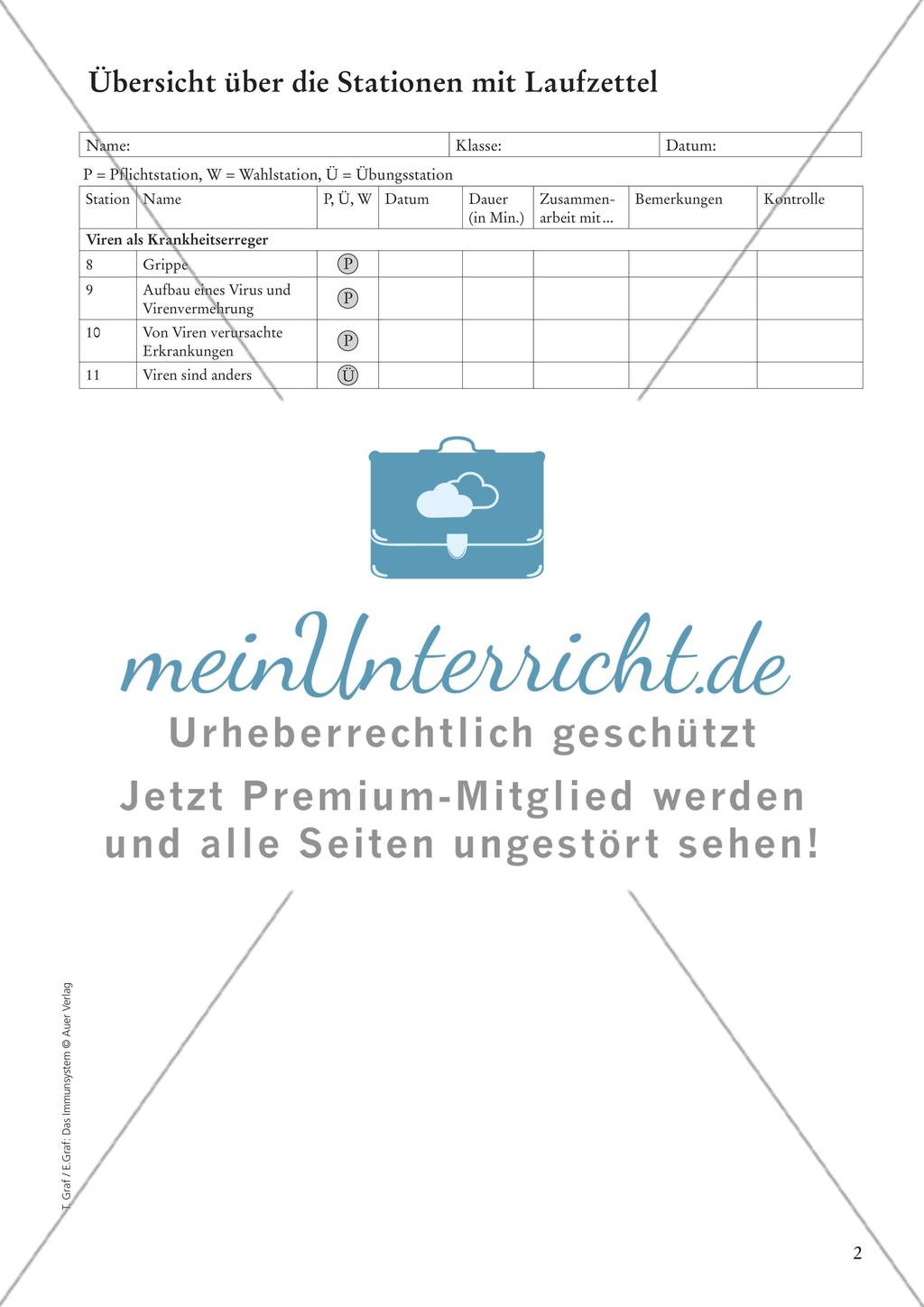 Das Immunsystem Preview 4