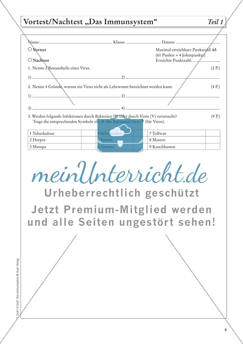 Das Immunsystem Preview 6