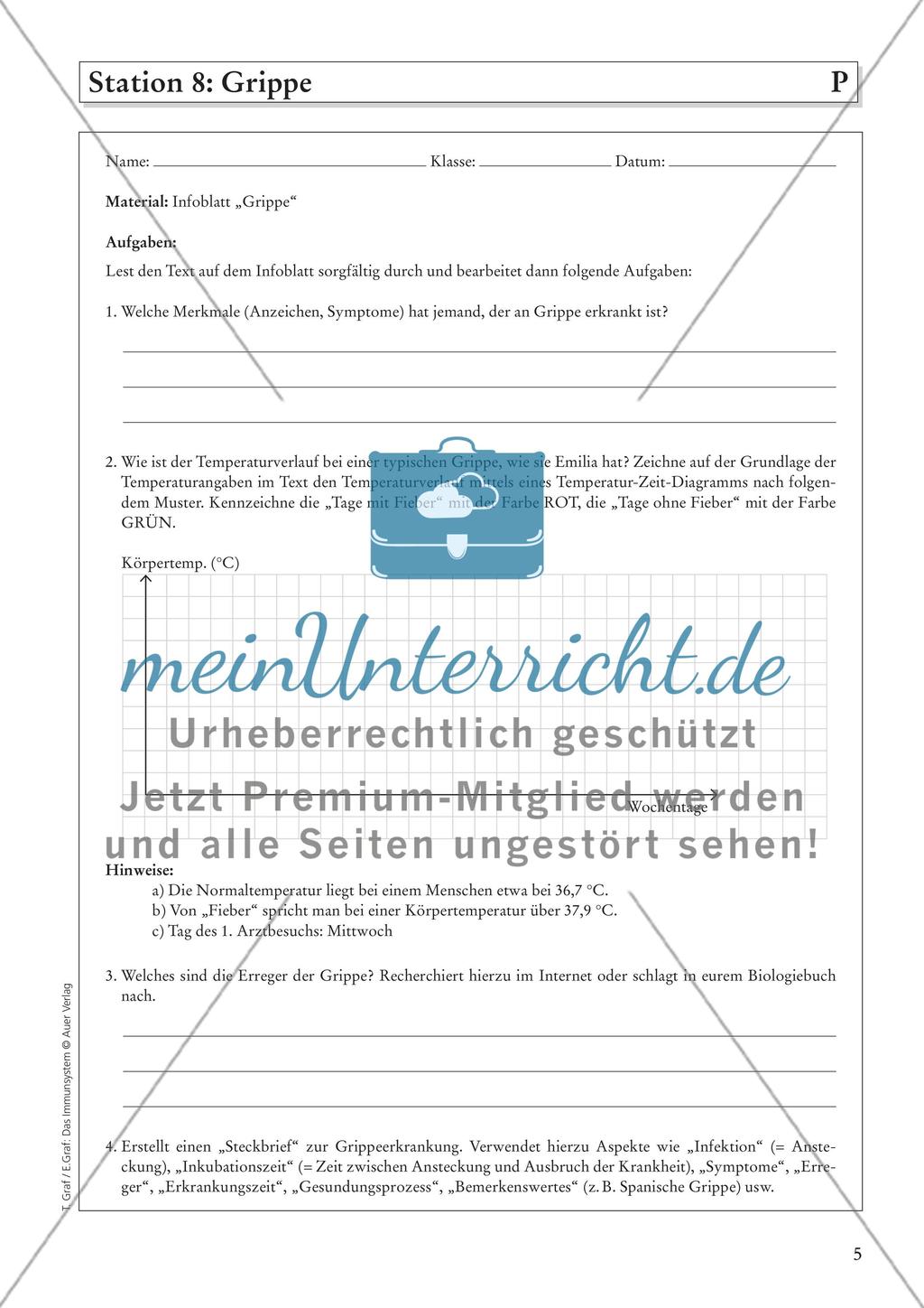 Das Immunsystem Preview 7