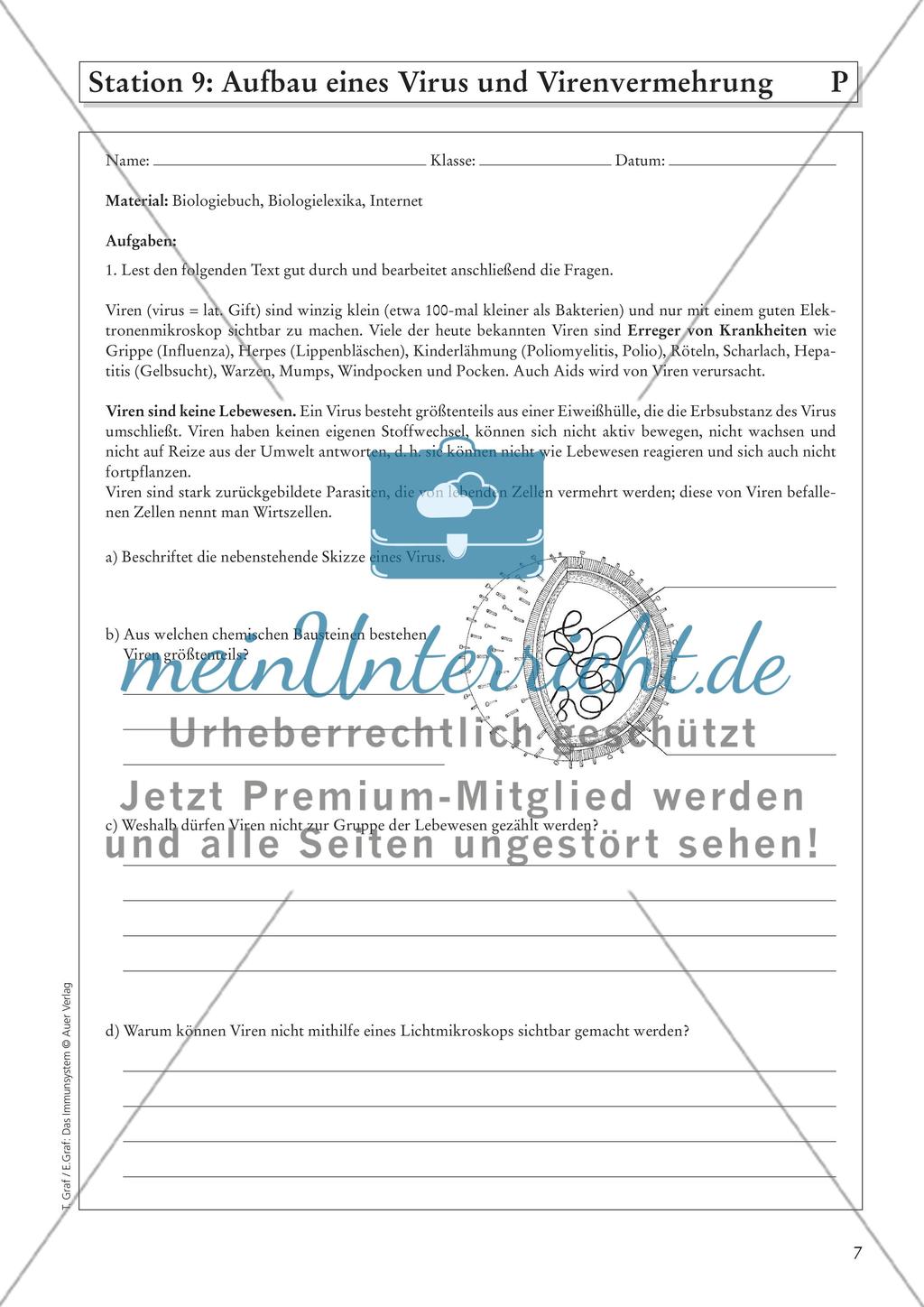 Das Immunsystem Preview 9
