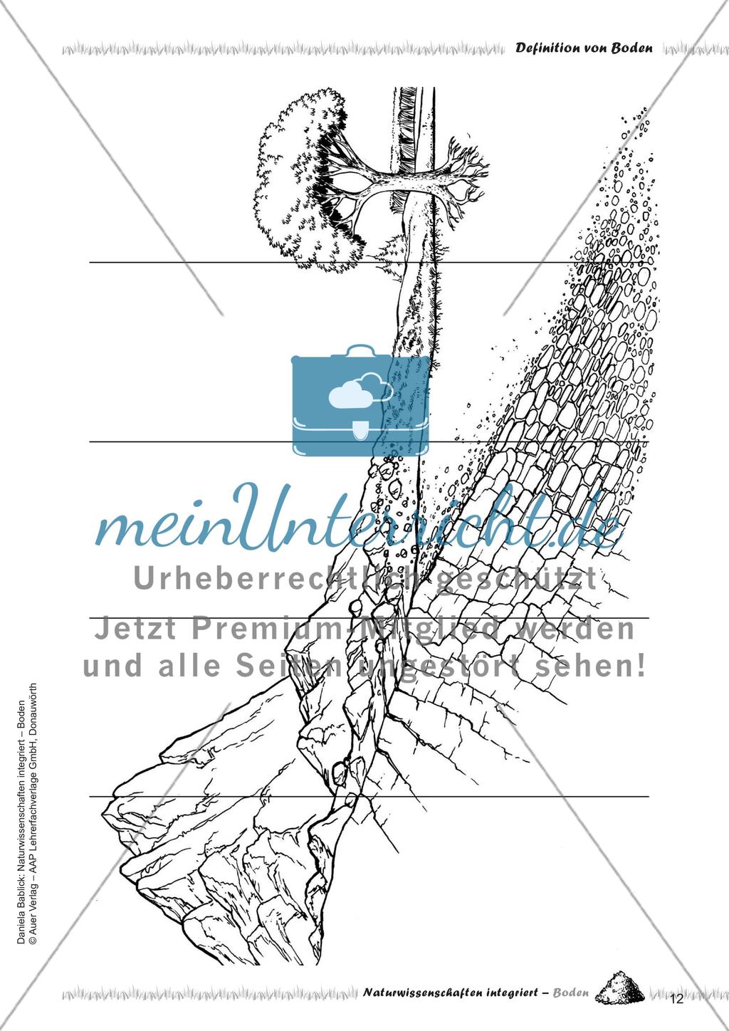Definition und Entstehung von Boden Preview 14