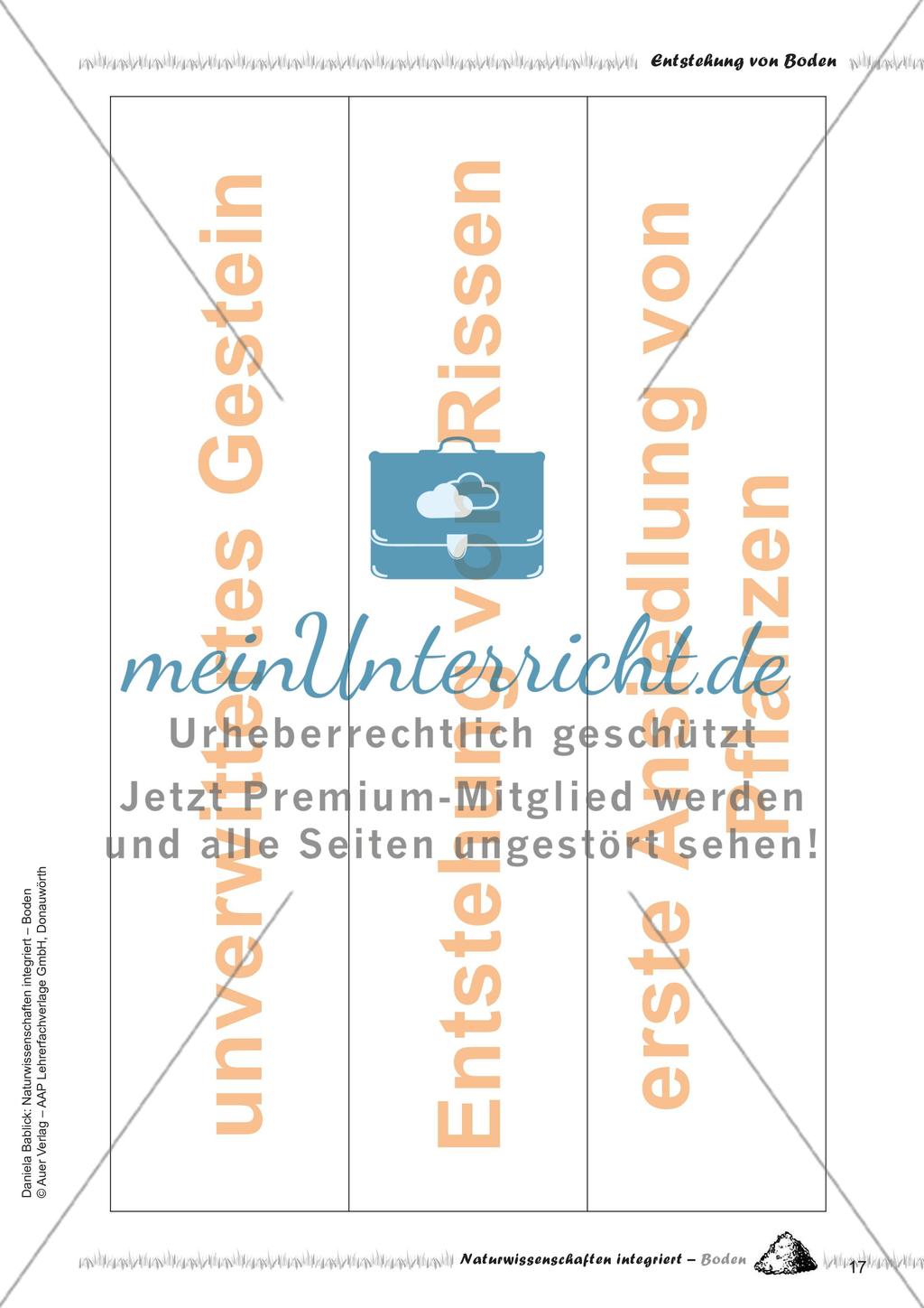 Definition und Entstehung von Boden Preview 19