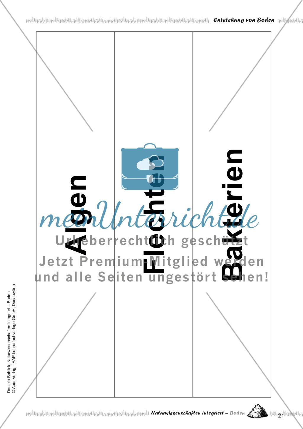 Definition und Entstehung von Boden Preview 23