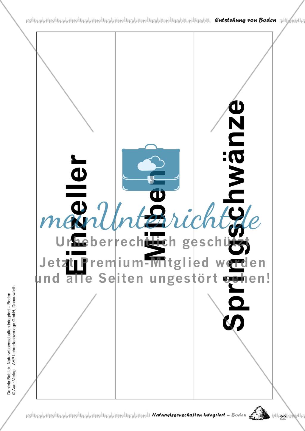 Definition und Entstehung von Boden Preview 24