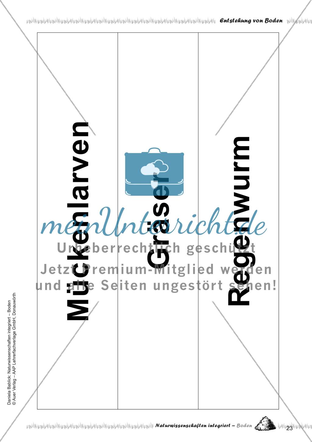 Definition und Entstehung von Boden Preview 25