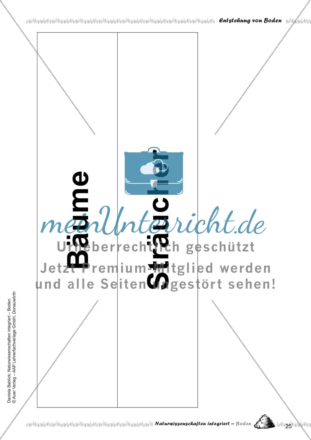 Definition und Entstehung von Boden Preview 27