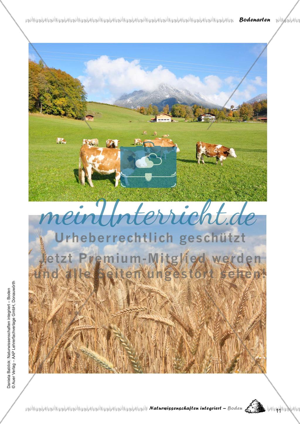 Bodenarten, Humus und Kompost Preview 13