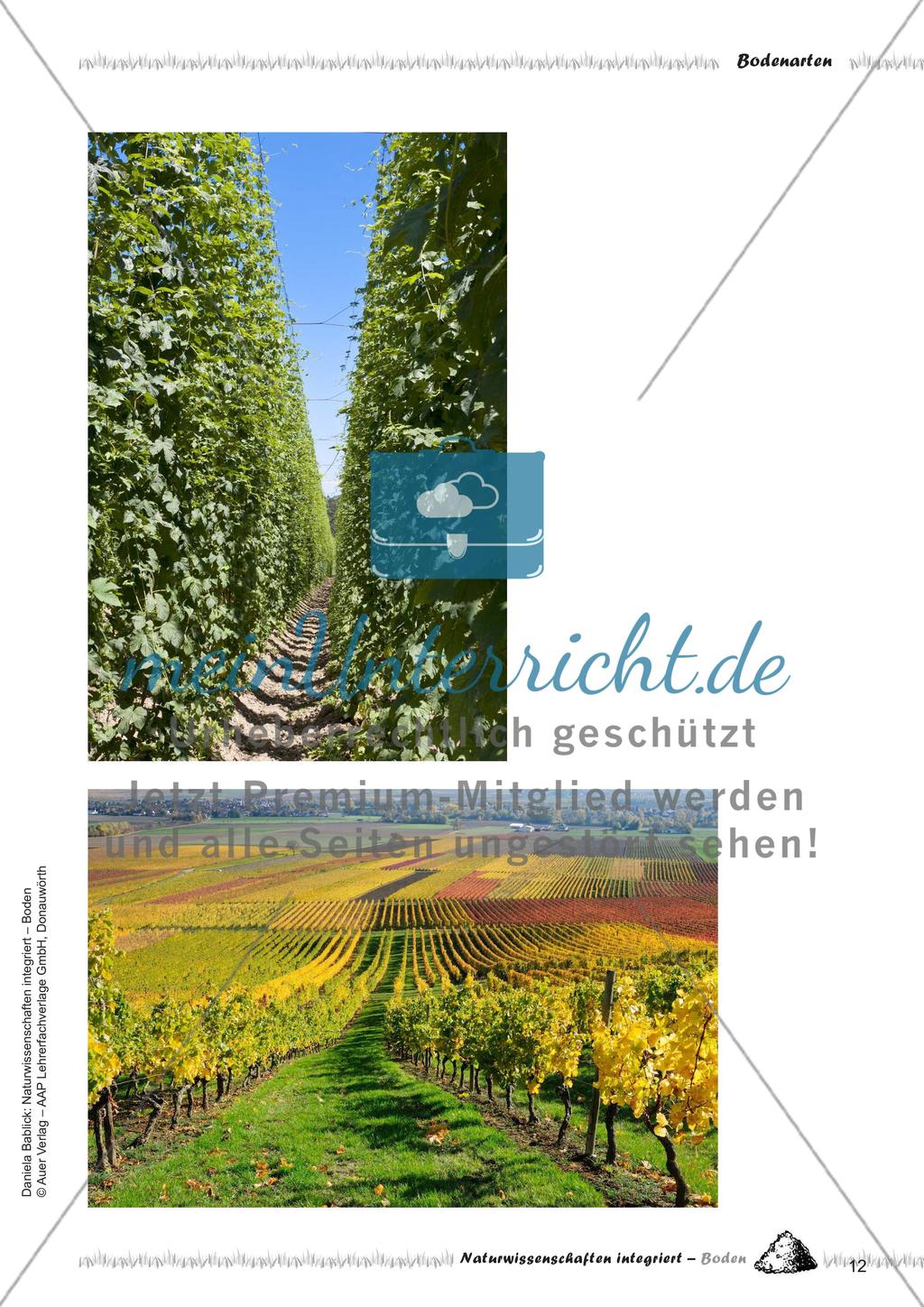 Bodenarten, Humus und Kompost Preview 14