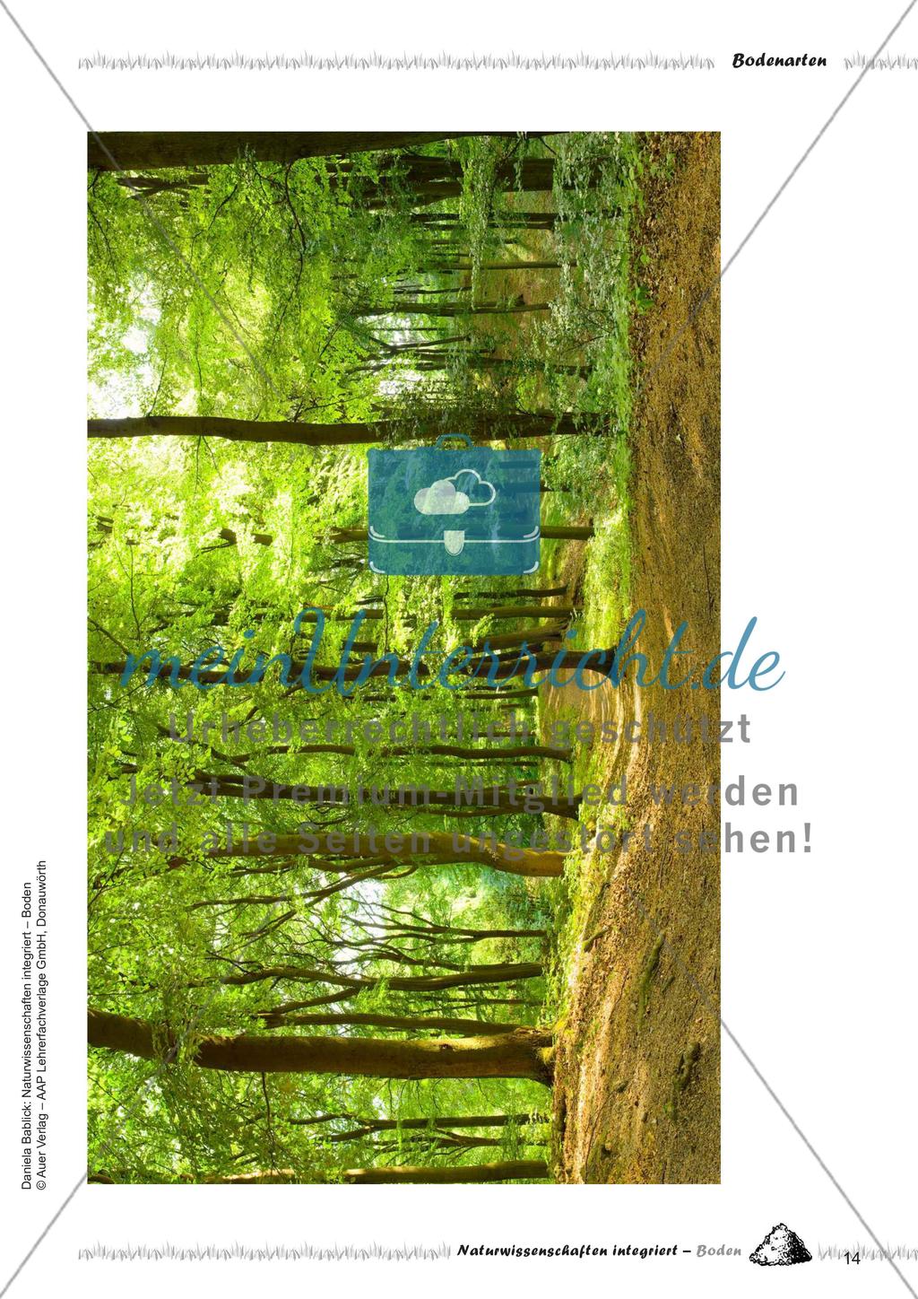 Bodenarten, Humus und Kompost Preview 16