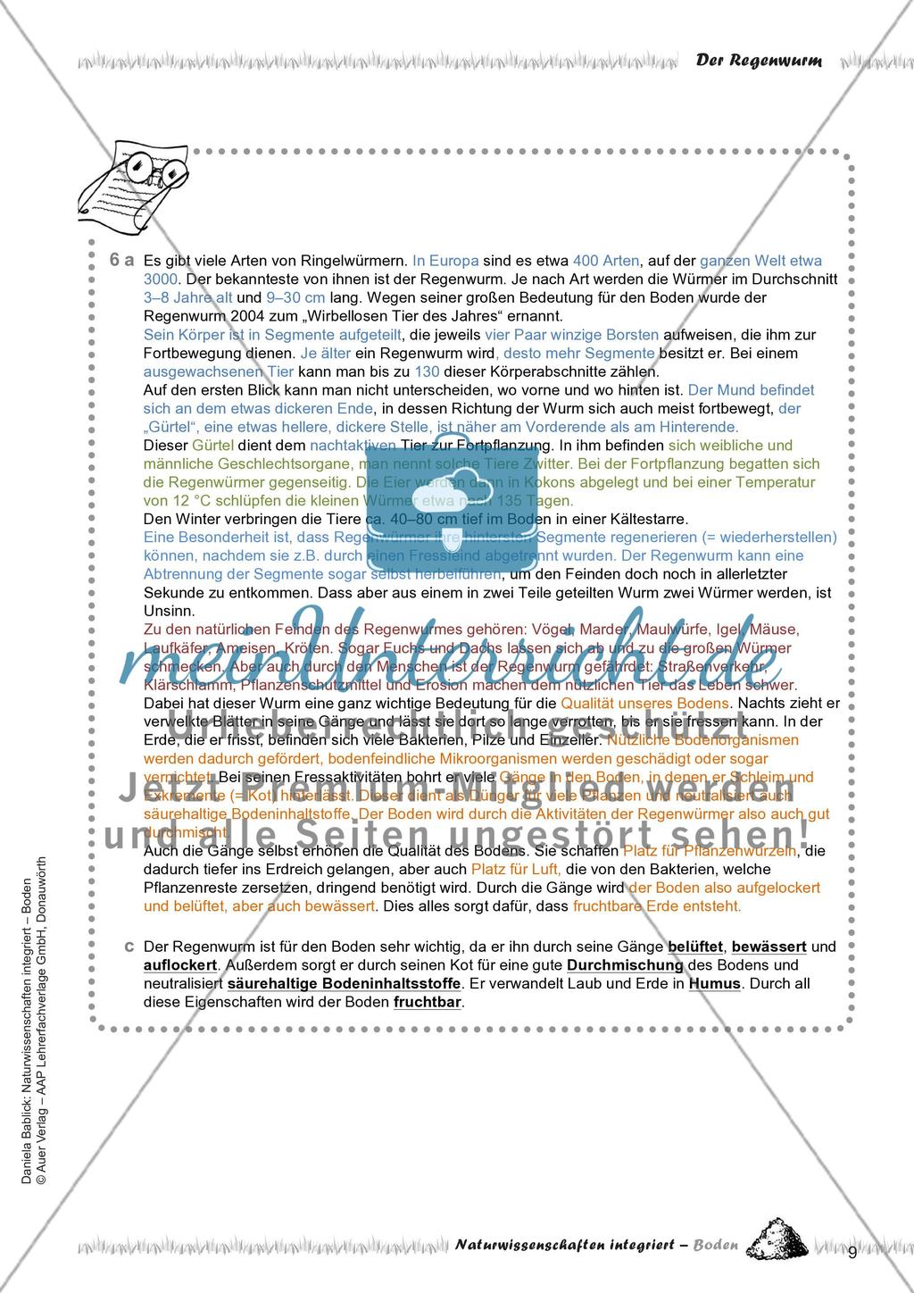 Boden, Bakterien und der Regenwurm Preview 11
