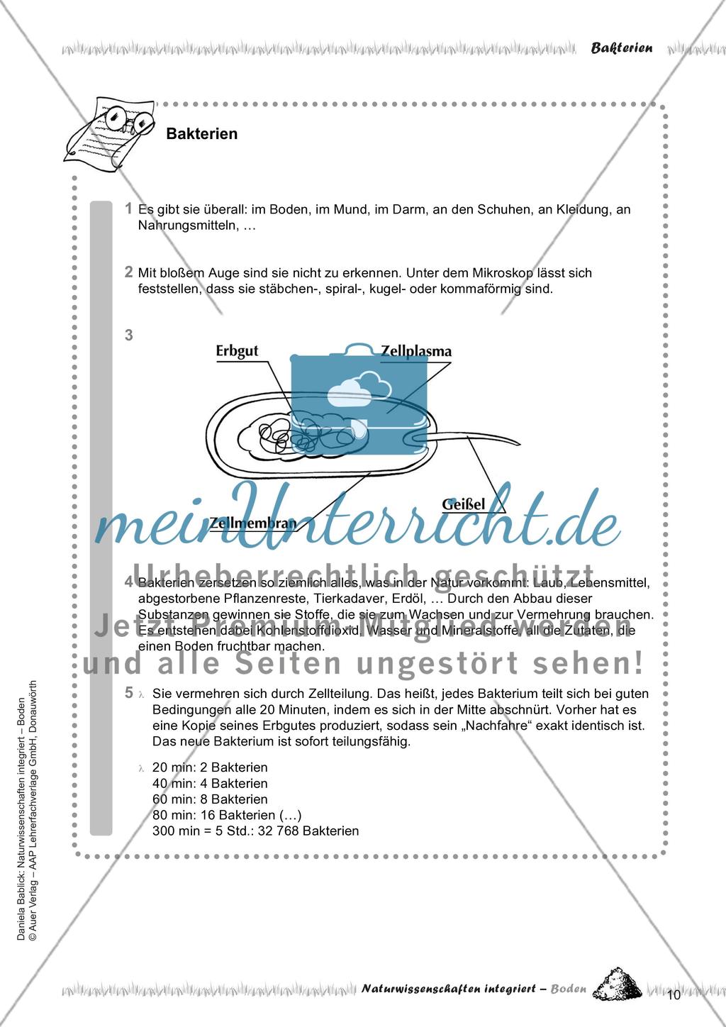 Boden, Bakterien und der Regenwurm Preview 12