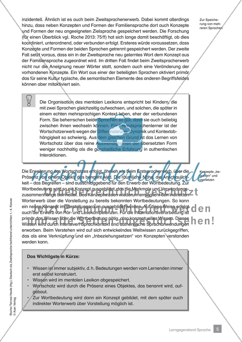 DaZ fachfremd unterrichten 1.-4. Klasse Preview 7