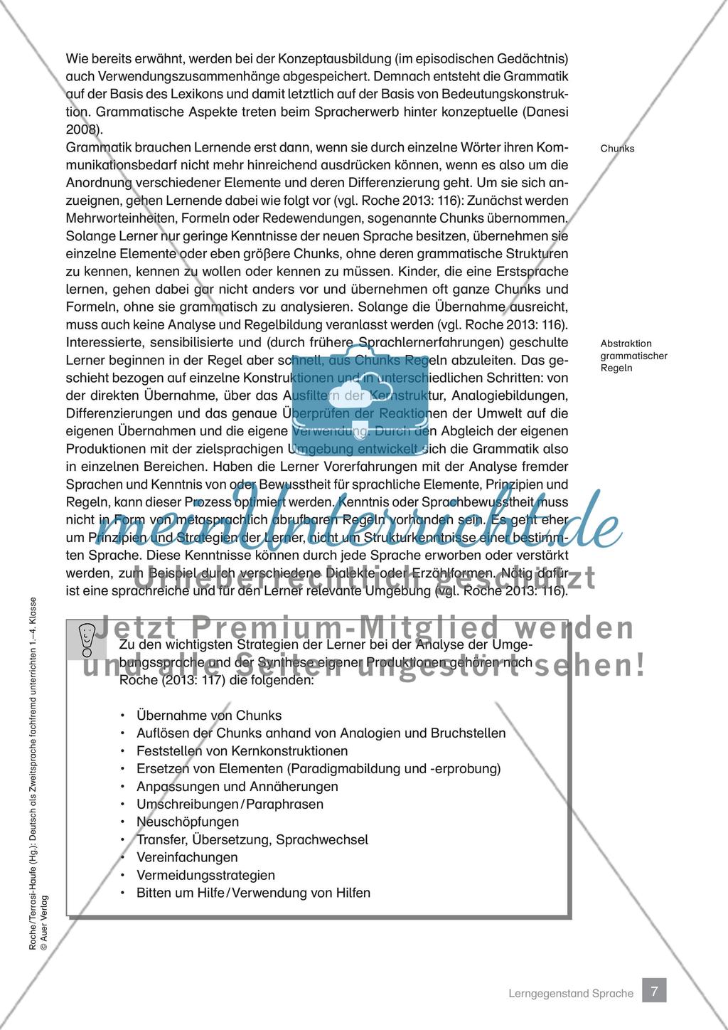 DaZ fachfremd unterrichten 1.-4. Klasse Preview 9