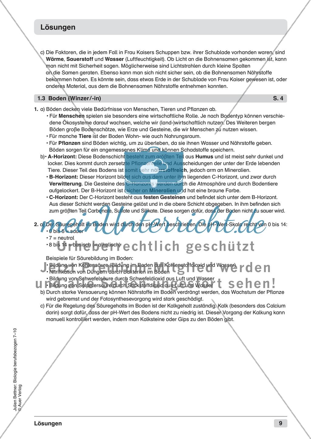 Blütenpflanzen Preview 11