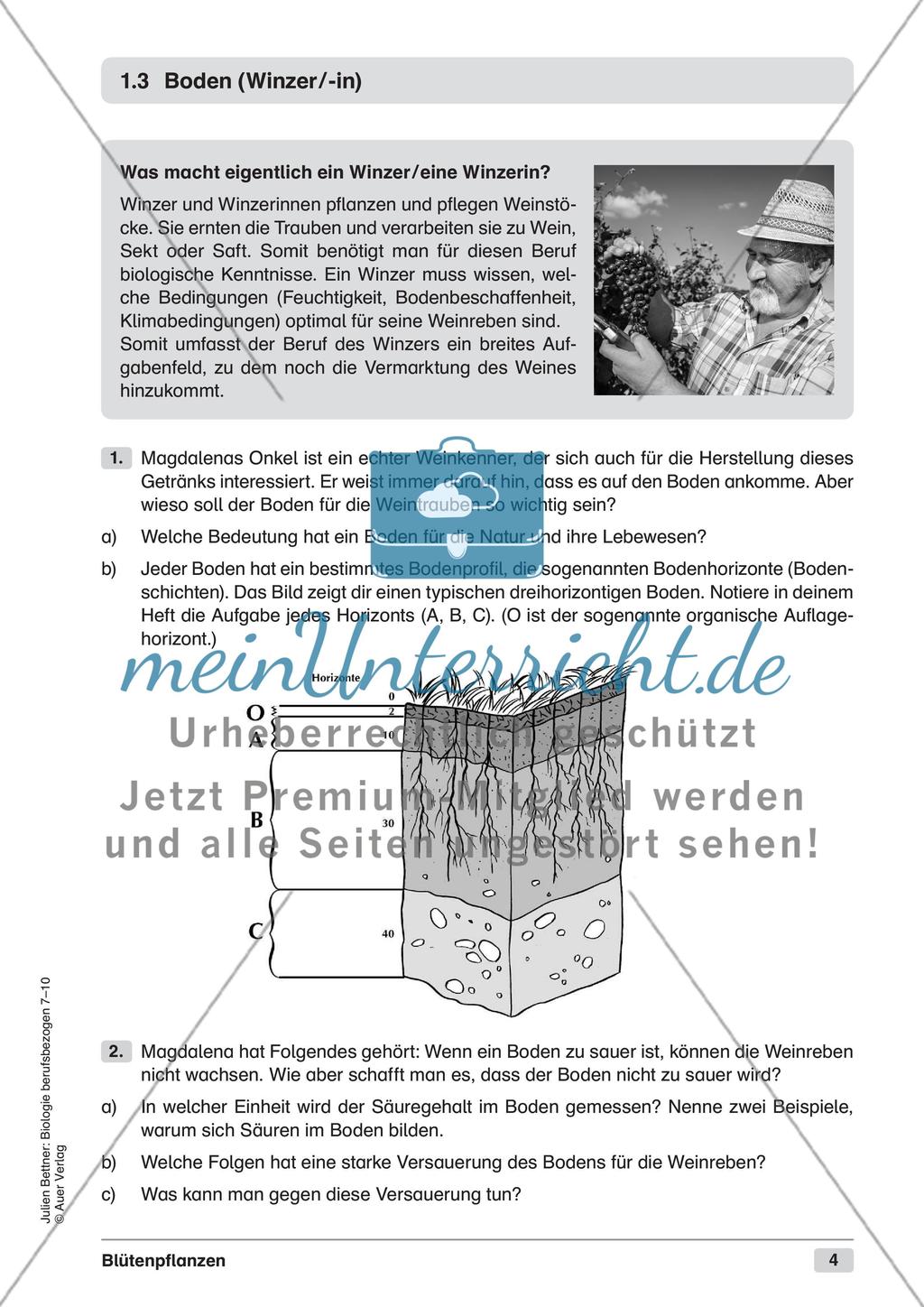 Blütenpflanzen Preview 6